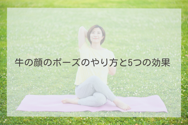 牛の顔のポーズ