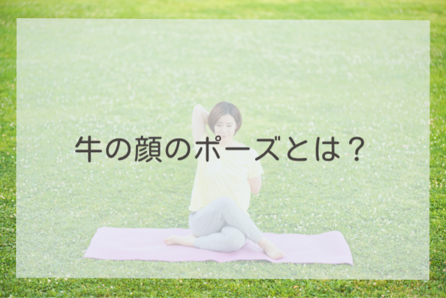 牛の顔のポーズとは?