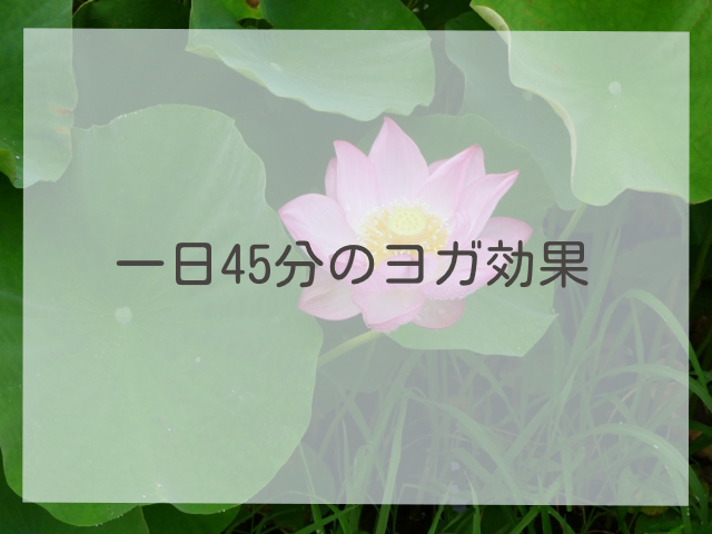 一日45分のヨガ効果