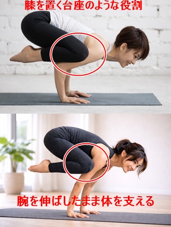 カラスのポーズと鶴のポーズの比較