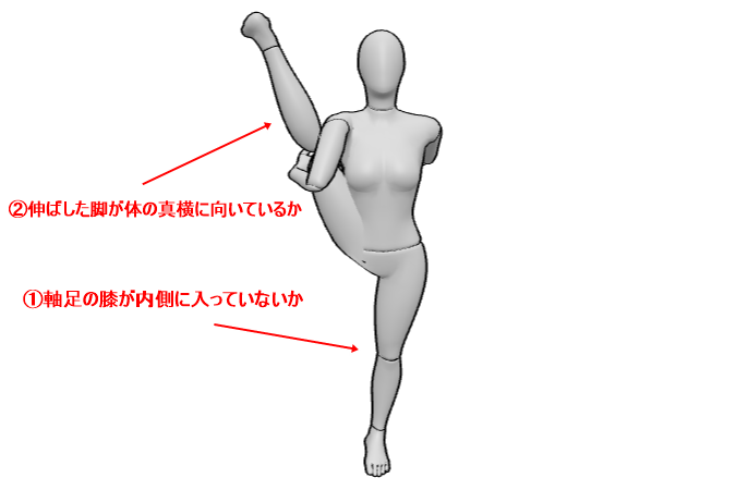 極楽鳥のポーズ　コツ