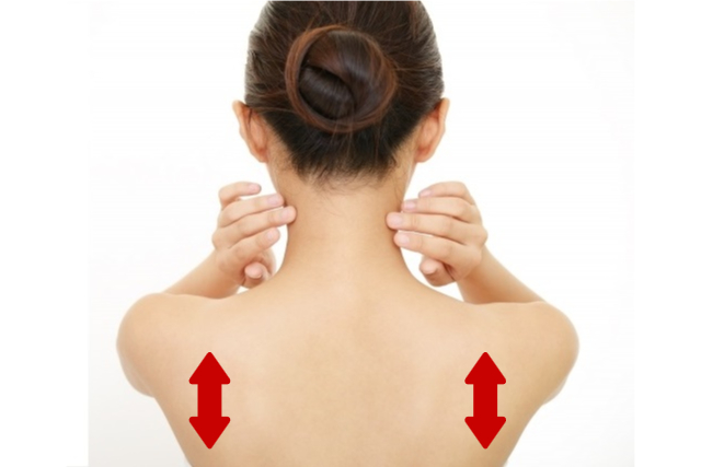 肩甲骨の動き　上下